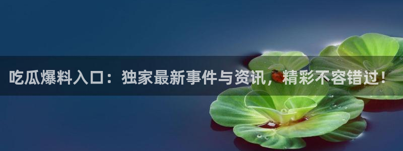 职场热点信息核验