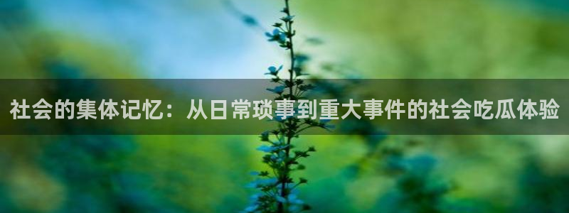 热门吃瓜事件始末