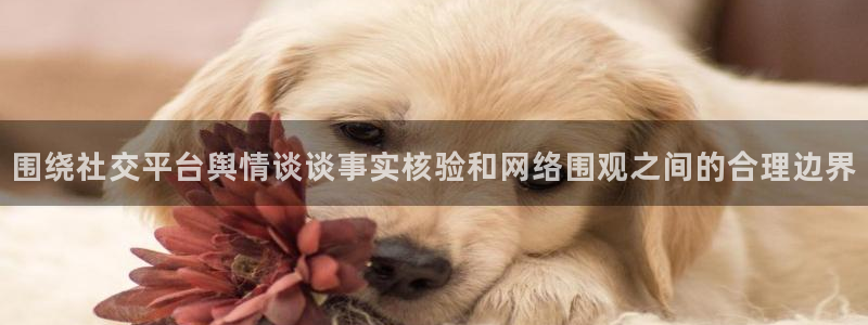 理性吃瓜