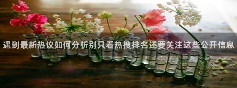 网红吃瓜热点汇总
