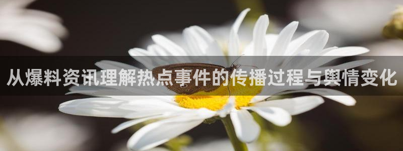 网红吃瓜