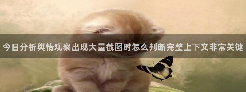 职场热点最新消息