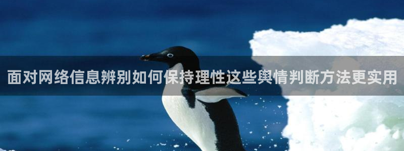 吃瓜真相事件始末
