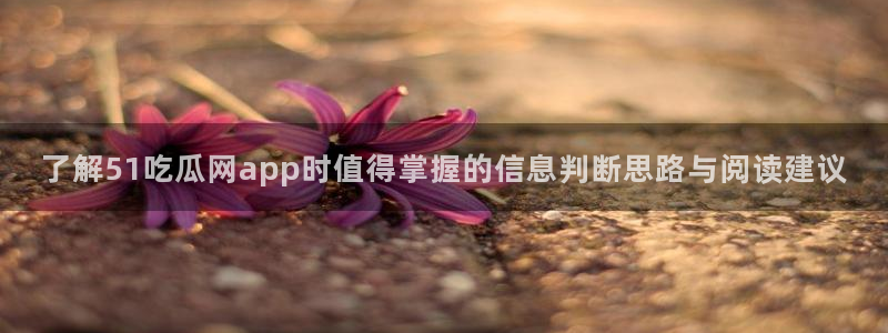 娱乐吃瓜今日更新