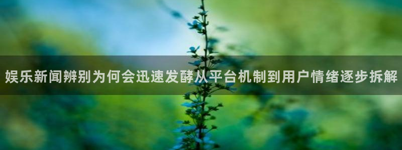 今日吃瓜事件始末
